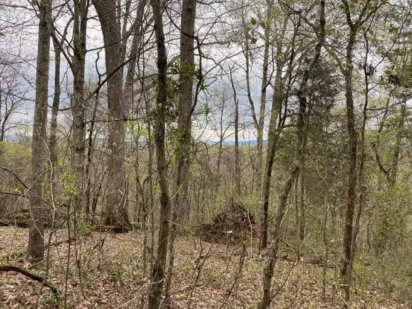 Lot 2 Overview/Nature Way, Newport, TN 37821