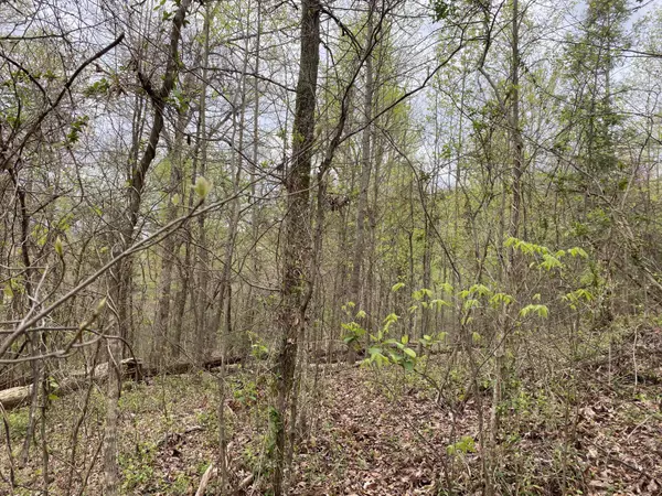 Newport, TN 37821,Lot 2 Overview/Nature Way