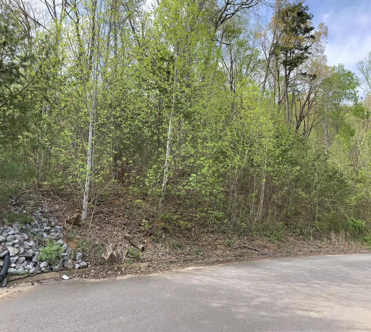 Seymour, TN 37865,Lot 8 Mountain Grove LN