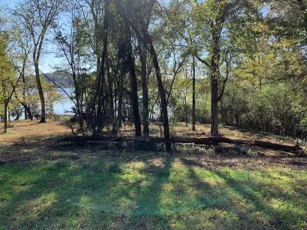 Rockwood, TN 37854,Shore DR