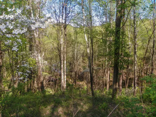 Sevierville, TN 37862,Lot# 33 Sourwood WAY