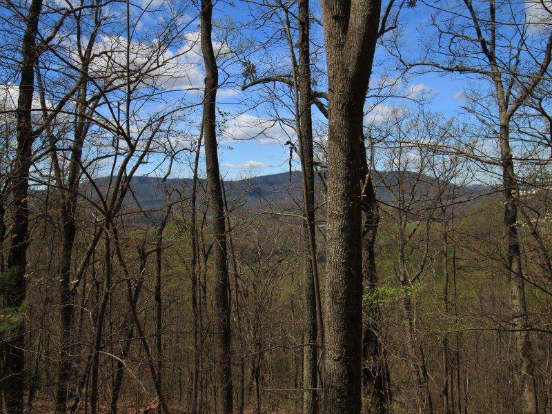 Tellico Plains, TN 37385,1 Dr Lee Rd