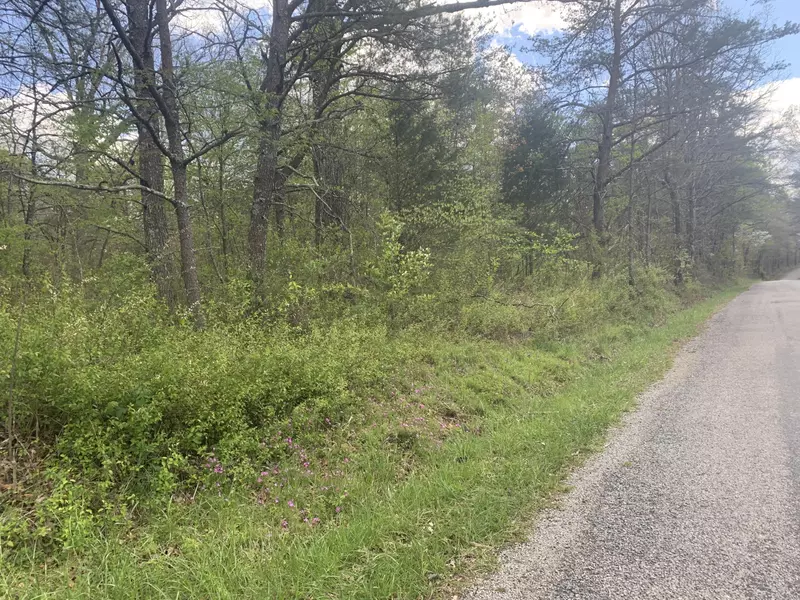 Scott Wyatt Rd, Deer Lodge, TN 37726