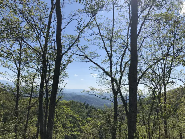 Sevierville, TN 37876,Lot 12 Maple LN