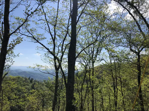 Sevierville, TN 37876,Lot 12 Maple LN