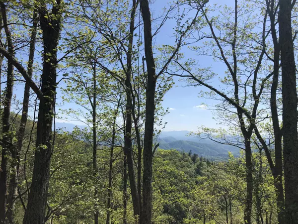 Sevierville, TN 37876,Lot 12 Maple LN