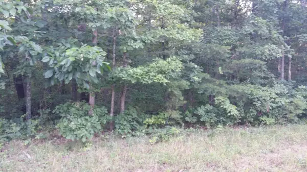 Monterey, TN 38574,Lot 6 Indian Trail