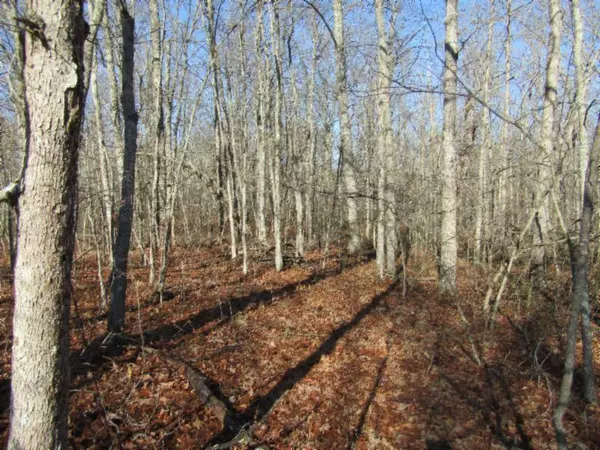 Monterey, TN 38574,Lot 6 Indian Trail