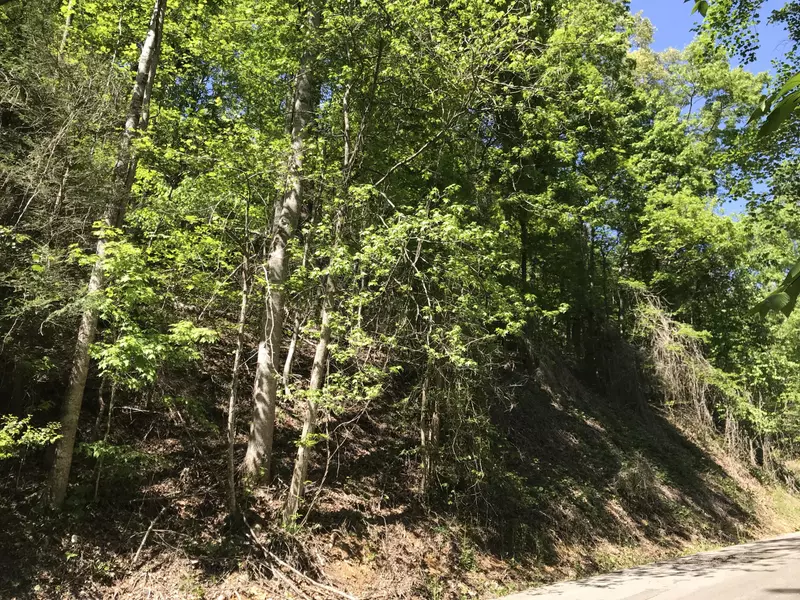 Stepping Stone Dr., Sevierville, TN 37862