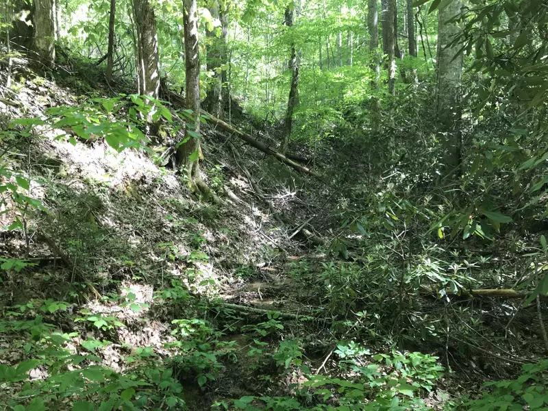 Black Walnut Flats Rd, Sevierville, TN 37862