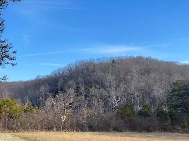 Lot 62, Dean E DR, Ten Mile, TN 37880