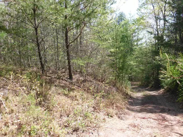 Tellico Plains, TN 37385,Cooper Hollow / Tilley Rd