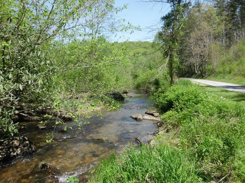 Tellico Plains, TN 37385,Cooper Hollow / Tilley Rd