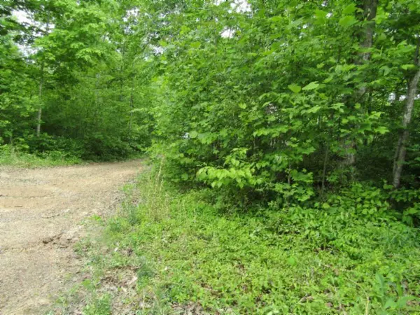 Celina, TN 38551,Lot 1 White Oak Ridge Rd