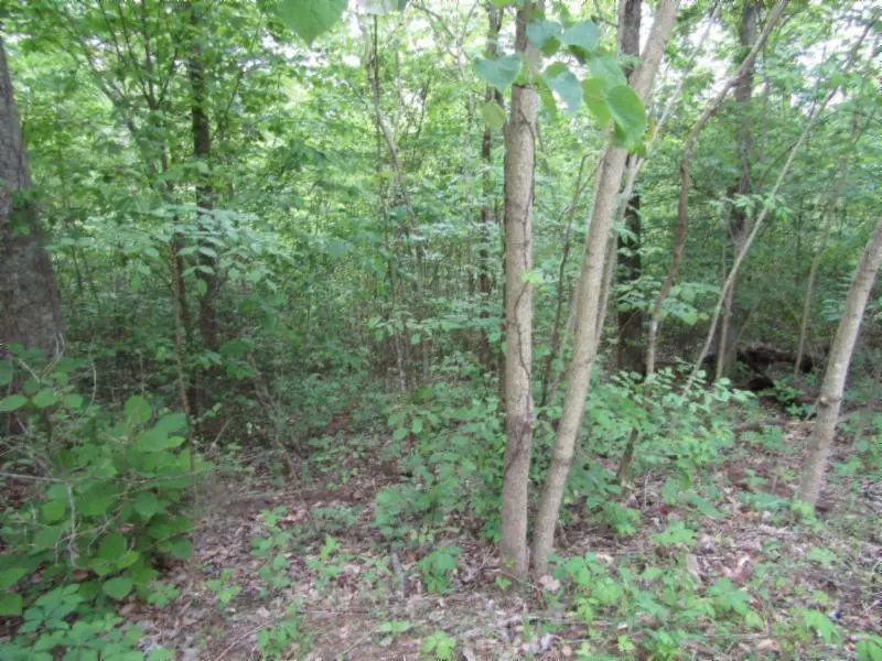 Lot 3 White Oak Ridge Rd, Celina, TN 38551