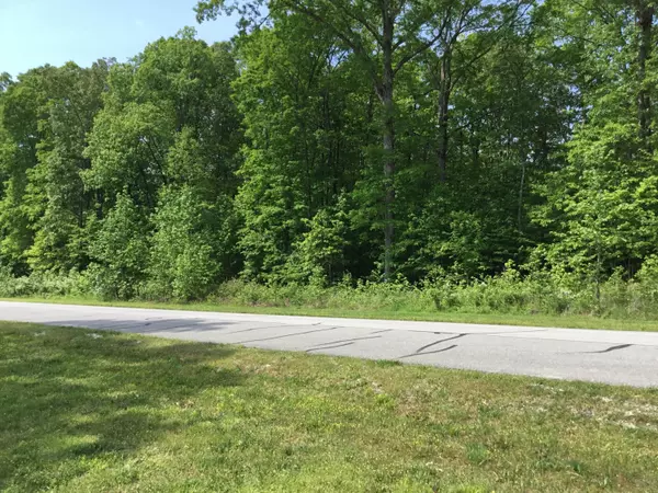 Rockwood, TN 37854,Lot 321 W Mountain DR