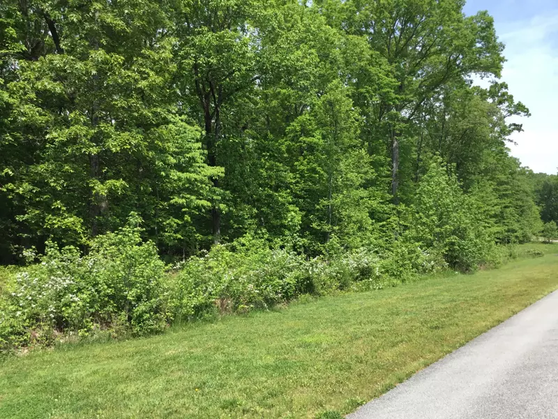 Lot 321 W Mountain DR, Rockwood, TN 37854