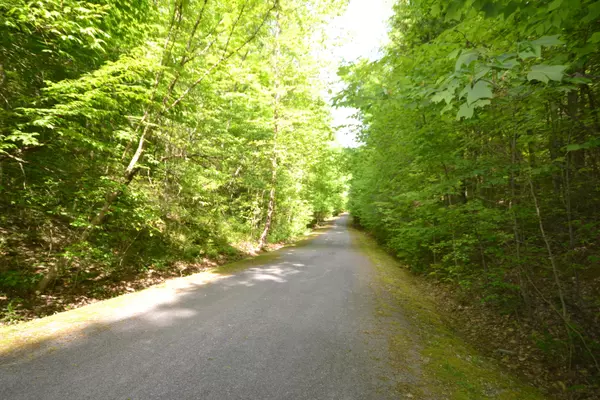 Sevierville, TN 37876,Lot 55 Riversong WAY