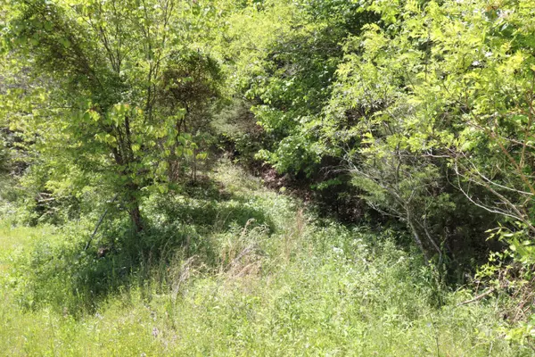 New Tazewell, TN 37825,Lot 554 Whistle Valley Rd