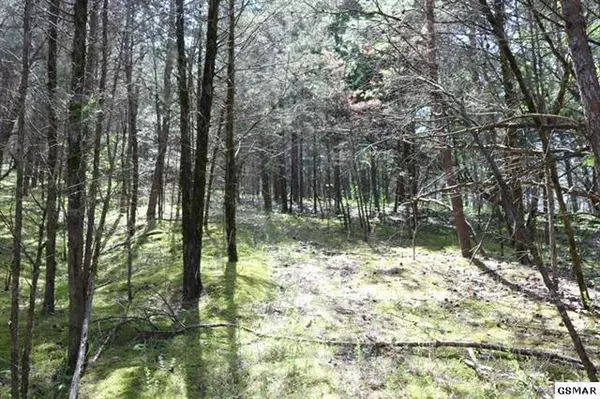 Sevierville, TN 37876,Lot 35 Buck Horn Rd