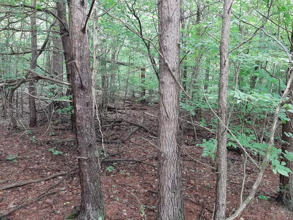 Loudon, TN 37774,101 Oostagala DR