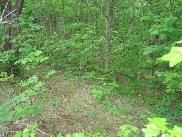 Celina, TN 38551,7.92 Ac Star Point Road