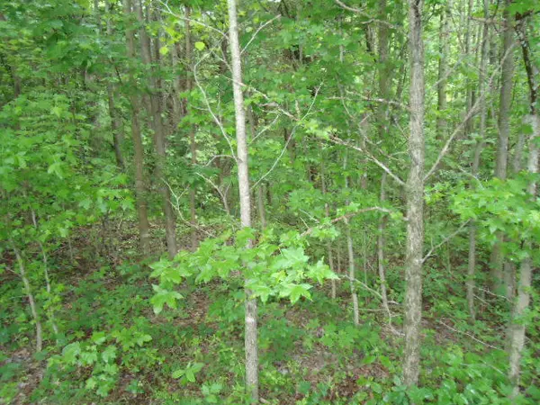 Celina, TN 38551,7.92 Ac Star Point Road