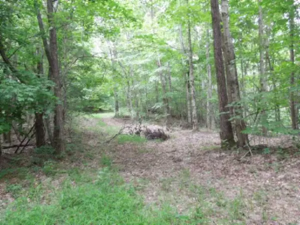 7.92 Ac Star Point Road, Celina, TN 38551