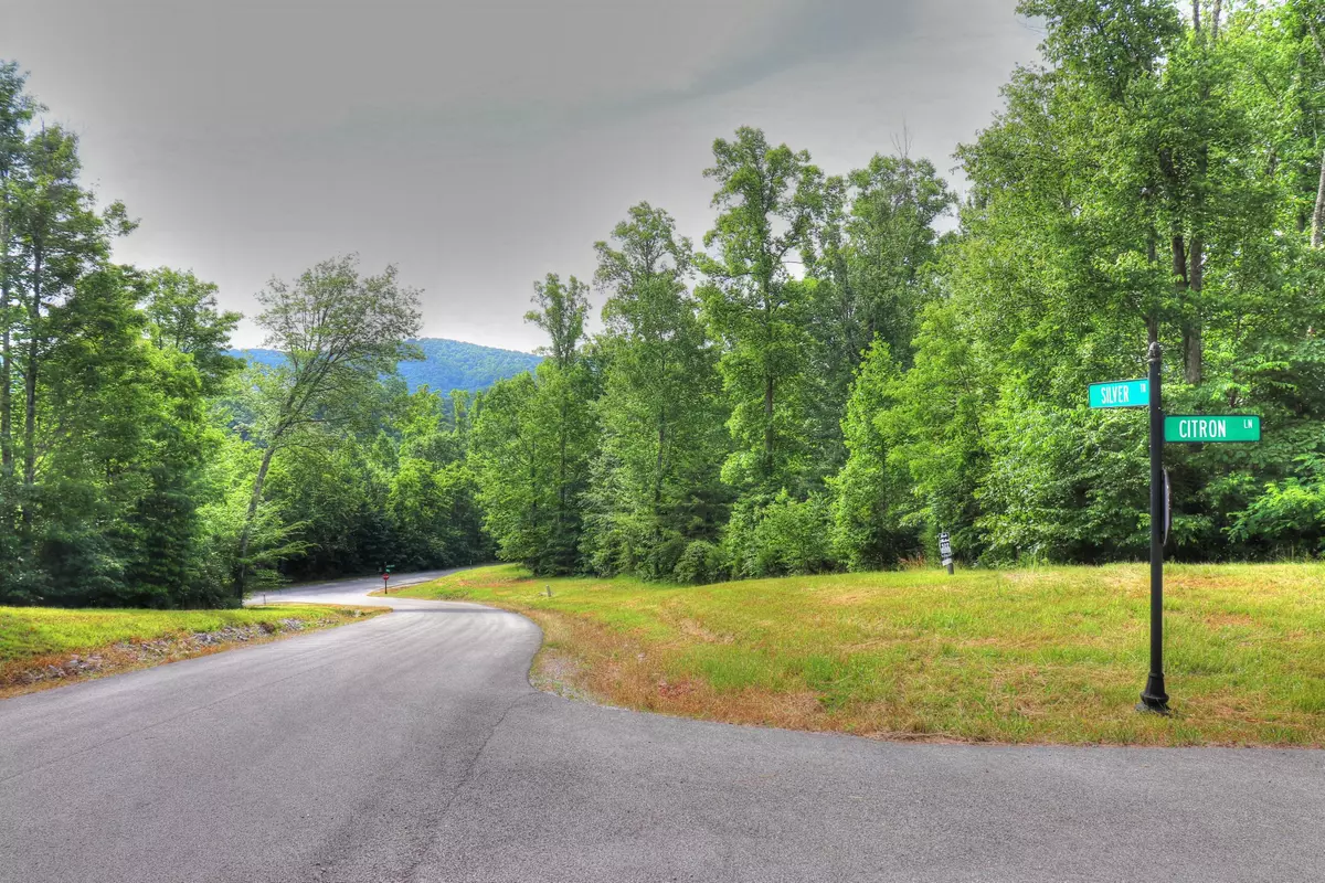 New Tazewell, TN 37825,Lot 502 Silver Tr