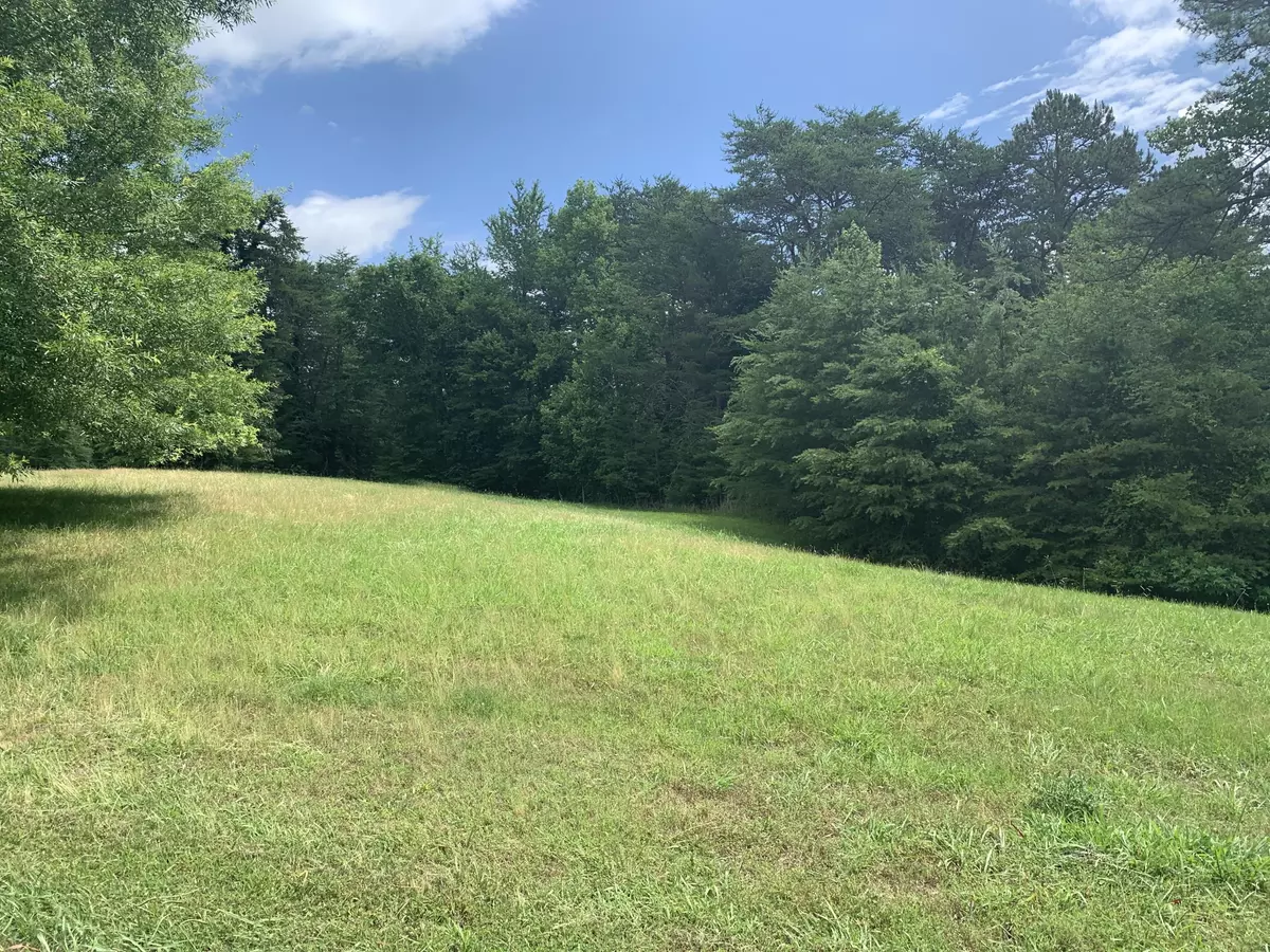 Dandridge, TN 37725,Lot 17 Waterstone DR