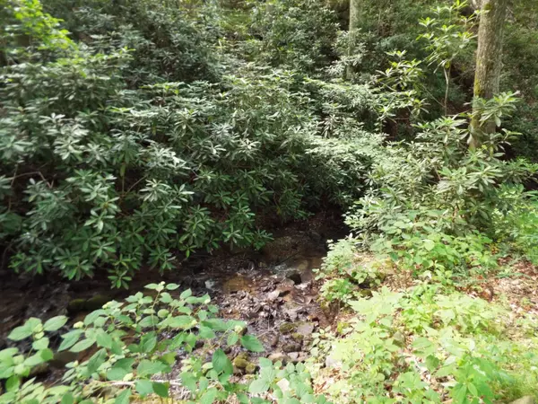 Del Rio, TN 37727,231 Trinity Way