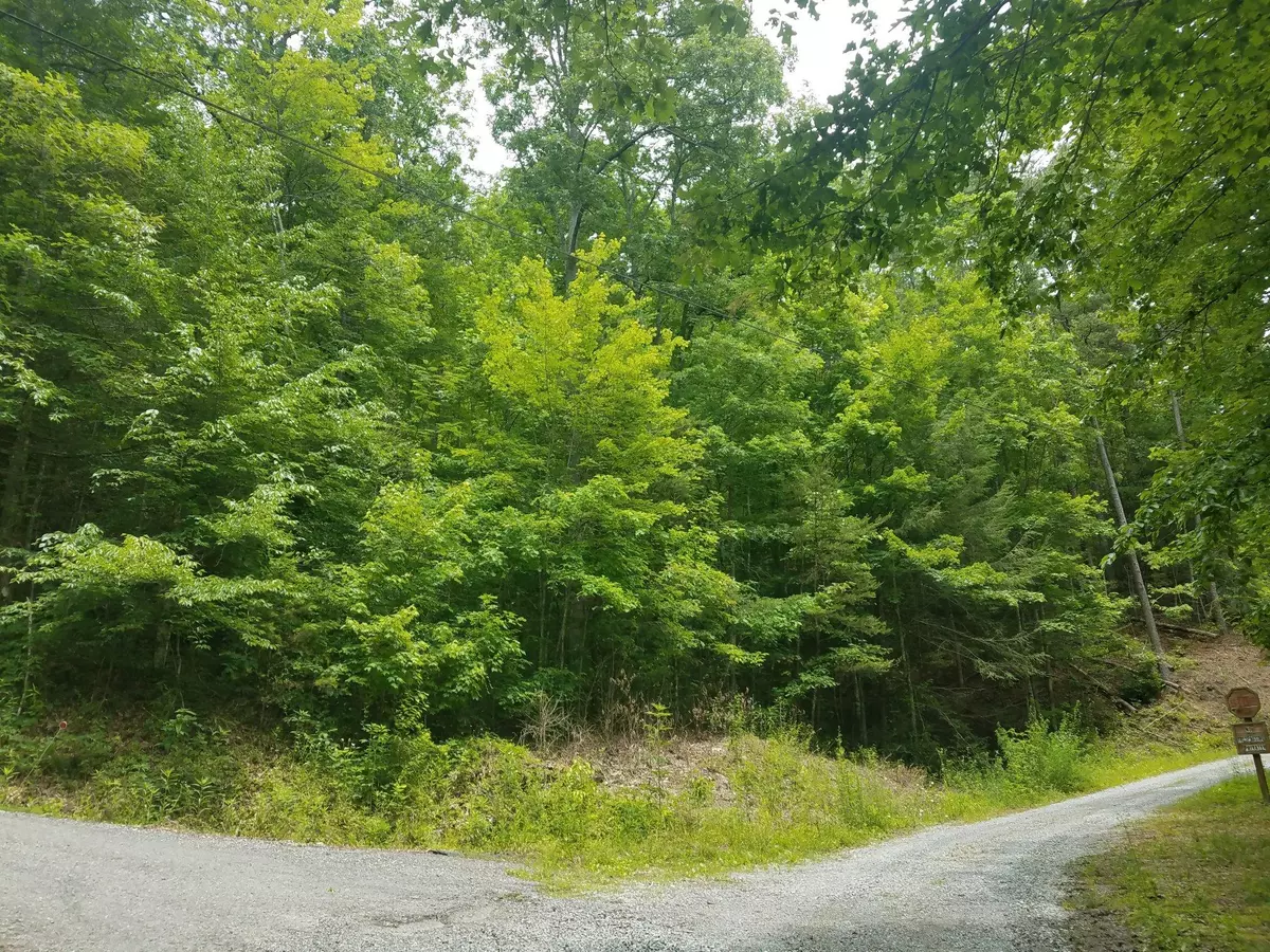 Sevierville, TN 37876,Lot 6 Lumber Jack WAY