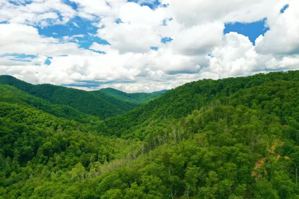 Del Rio, TN 37727,E Hwy 25-70