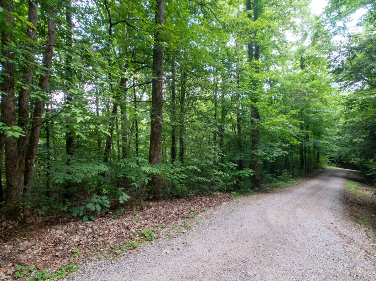 Sevierville, TN 37862,Lot 30 Walden Cove WAY