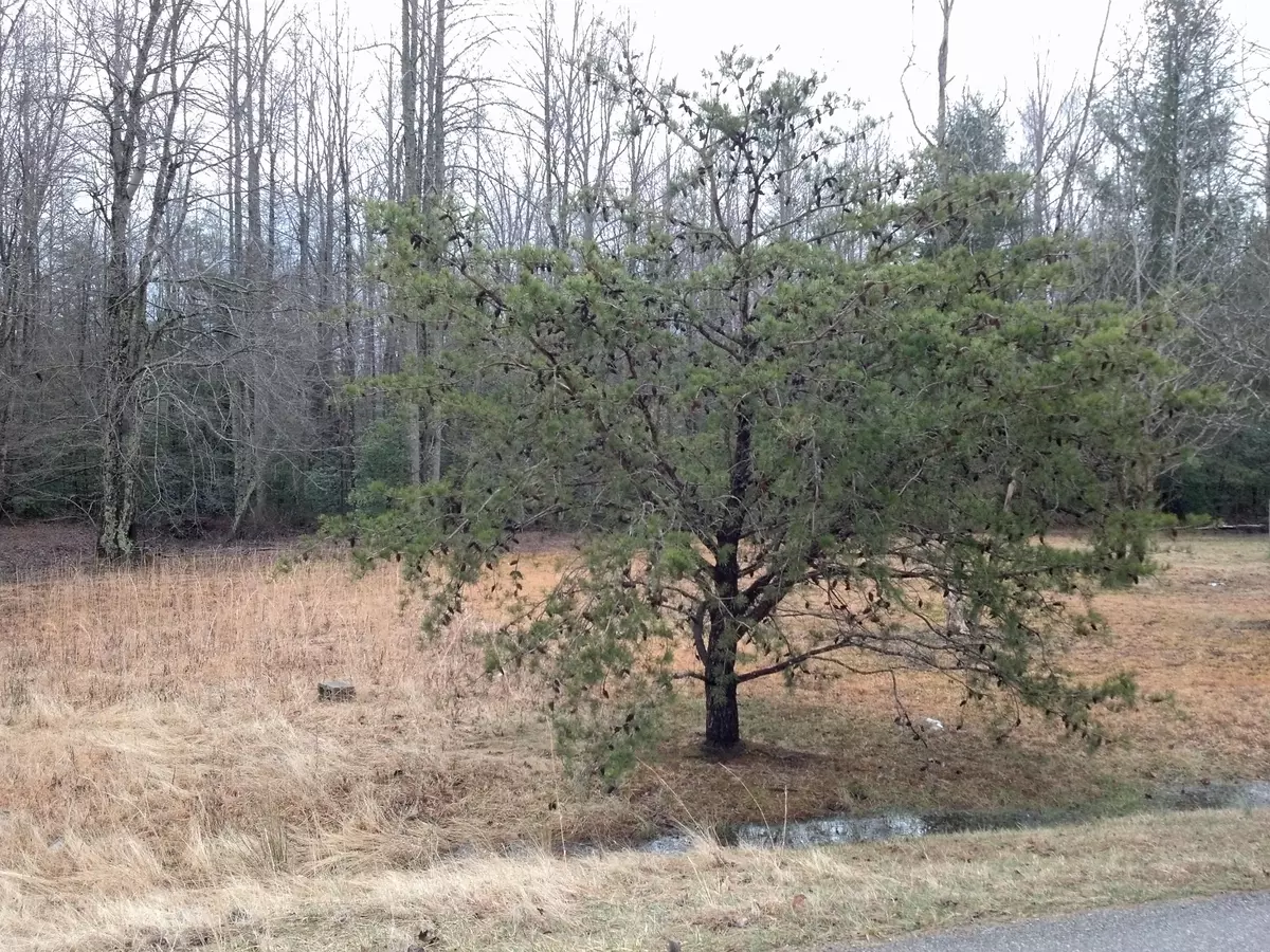 Winfield, TN 37892,Lot 23 Bud Ross Rd