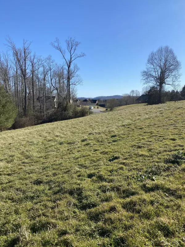 Corryton, TN 37721,0 Milledge LN