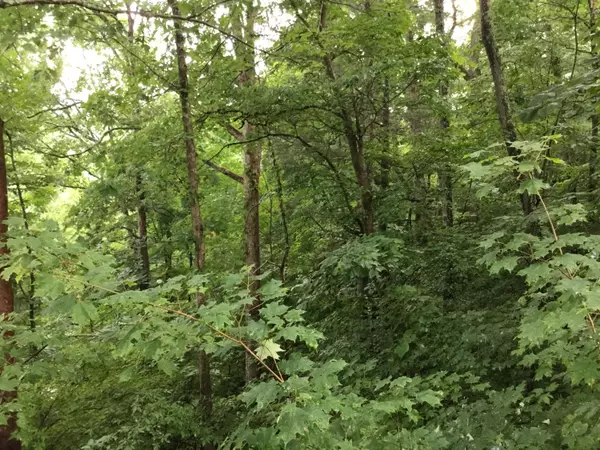 Jacksboro, TN 37757,Lot 28 Bluff TRCE