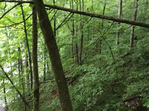 Jacksboro, TN 37757,Lot 28 Bluff TRCE