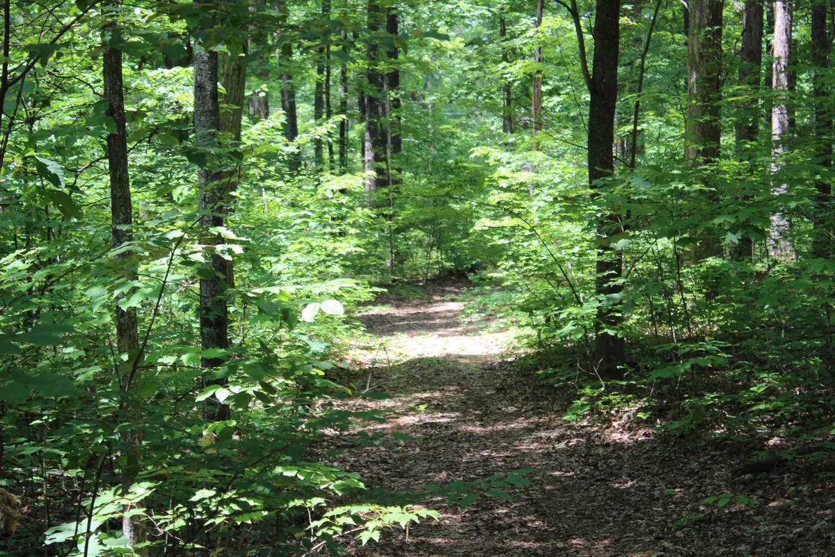 Dandridge, TN 37725,3684 Collier Loop Rd