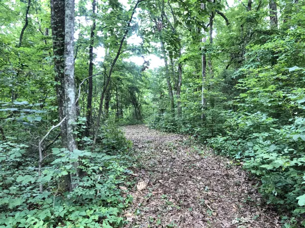 Loudon, TN 37774,505 Cave Creek Rd