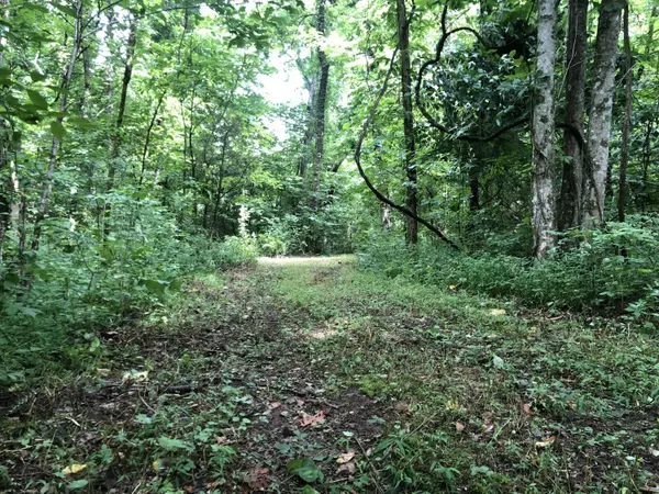 Loudon, TN 37774,505 Cave Creek Rd