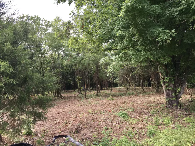 Lot 24 Maple Ave, Strawberry Plains, TN 37871