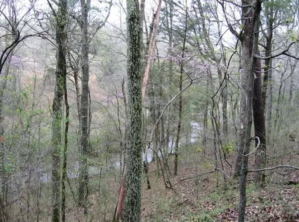 Birchwood, TN 37308,Lot 13 Watauga LN