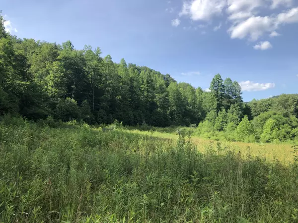 Little Brush Creek Rd, Artemus, KY 40903