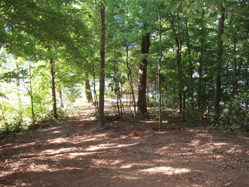 Lot 50 Mountain Shores Road, New Tazewell, TN 37824