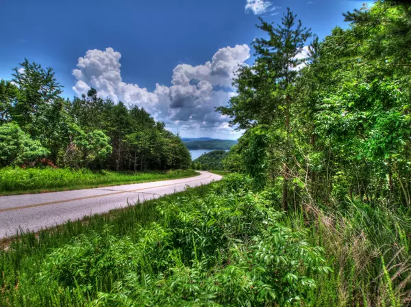 Lot 418 Flint Ridge Rd, Rockwood, TN 37854