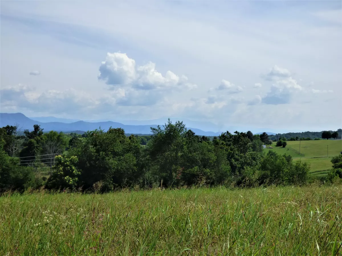 White Pine, TN 37890,Lot 2 Falcon Rd