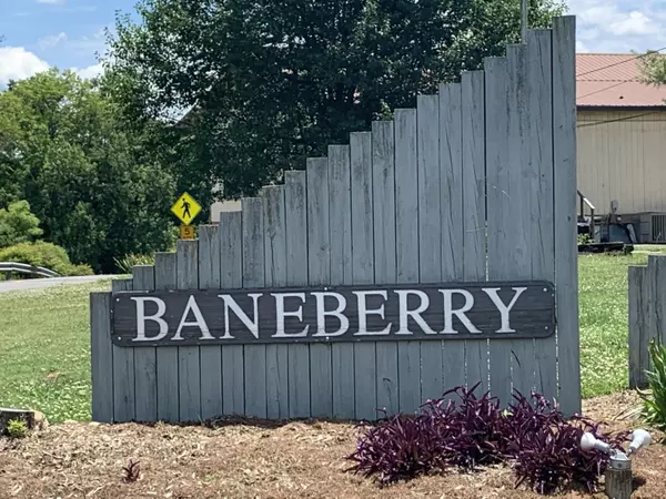 Baneberry, TN 37890,804 Harrison Ferry Rd