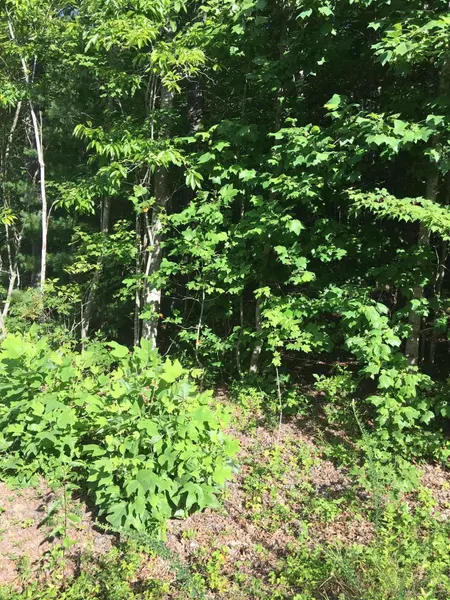 Lot 24 Kingsbridge LN, Fairfield Glade, TN 38558