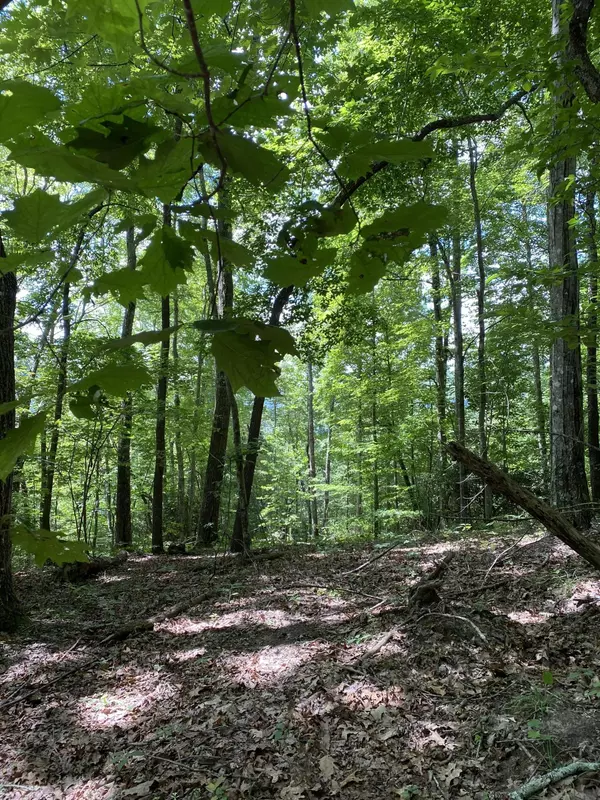 Sneedville, TN 37869,00 Ferguson Cemetary Rd